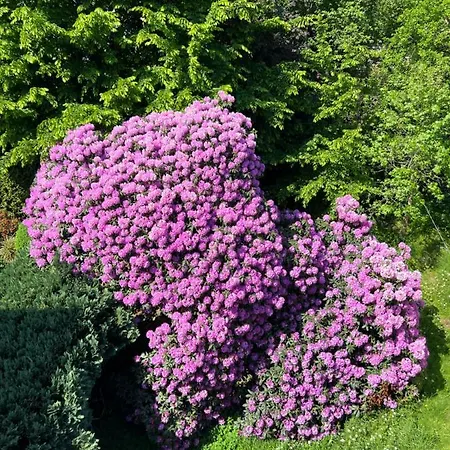 Am Kurpark